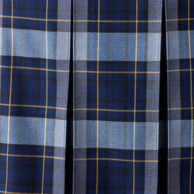classic navy plaid