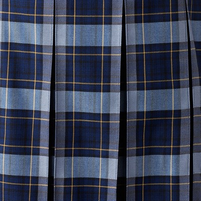 classic navy plaid