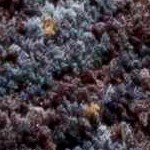 beige, gray, tan, mediumgray, deepteal