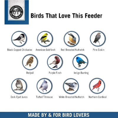 22-Inch Clear and Silver Squirrel Resistant Tube Bird Feeder