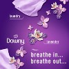 Febreze Downy Infusions Calm Plug Dual Air Freshener Refill - Lavender & Vanilla Bean - 1.75 fl oz/2pk - 3 of 4