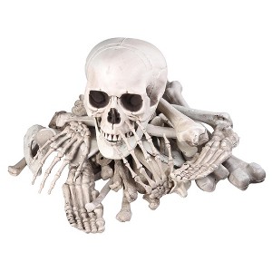 Yescom Bag of Skeleton Bones Skull 28pcs Set Props Horror Halloween Party Decoration 2025 - 1 of 4