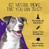 Chewmasters Grass-Fed Beef Stix Dog Treats – 32 oz Bag – Wheat, Corn & Soy Free – Made in USA - 3 of 4