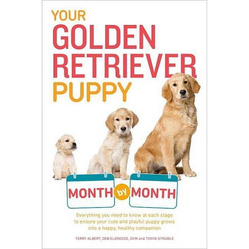 Your Golden Retriever Puppy Month By Month Your Puppy Month By Month By Terry Albert Debra Eldredge Paperback Target