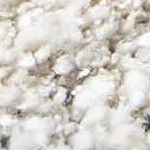 white, cream, black, lightbeige, lightslate