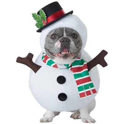 California Costumes Winter Snowman Pet Costume