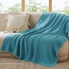 Bedsure Throw Blanket for Couch - Decorative Woven Throw Gifts with Tassels, Soft and Lightweight Farmhouse Blankets for Couch and Sofa - 2 of 4