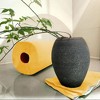 Renova Paper Towel Pack - 1 Roll - 120 Sheets - 2 Ply - FSC Certified - Sustainable & Absorbent - 4 of 4