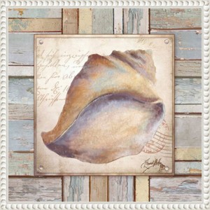 Amanti Art 16"x16" Beach Shell II by Elizabeth Medley: Coastal Decor, Nautical Lithograph, White Frame - 1 of 4