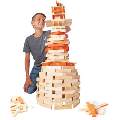 Fat Brain Toys Timber FB208-1 300 Piece Set