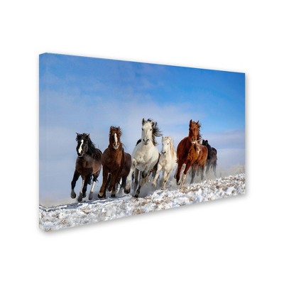 Trademark Fine Art -Libby Zhang 'Mongolia Horses' Canvas Art