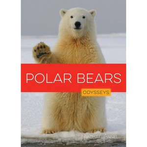 Polar Bears - by  Rachael Hanel (Paperback) - 1 of 1