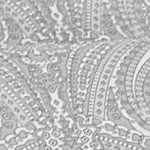 paisley gray