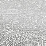 paisley gray