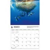 BrownTrout 2025 Wall Calendar 12"x14" Dolphins WWF - image 3 of 4