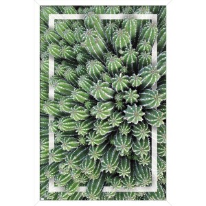 Trends International Cactus - Group Framed Wall Poster Prints - 1 of 4