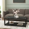 Omara 2 Tier Coffee Table - COF2315 - Safavieh - 2 of 4