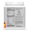 Active Essential Amino Acids, Repair Muscle, Recover & Hydrate,  Sunwarrior, Mango Flavor, 30 Servings - 2 of 4