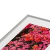 Bethany Young Photography California Blooms Metal Framed Art Print - Deny Designs - 3 of 4