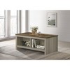 Vynxaria Modern Coffee Table, Open Shelves (Front/Back & Both Sides), Gray Oak with Walnut Contrast Top, 43" Width - 3 of 4