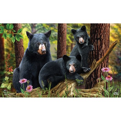 Briarwood Lane Summer Doormat 30x18 Indoor Outdoor Black Bear Family Nature For Summer Doormat