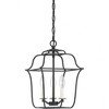 Quoizel Lighting Gallery 3 - Light Chandelier in  Royal Ebony - 2 of 4