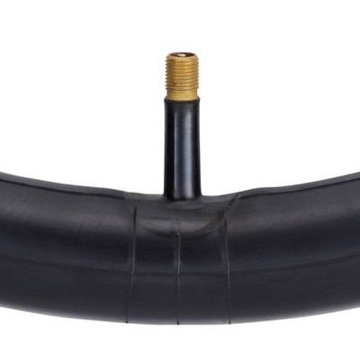 Schwinn 20&#34; Bike Tire Tube