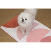 Zarkea™ Soft Geometric Microfiber Rug, 20" x 32",Washable,Anti-Slip - 3 of 4