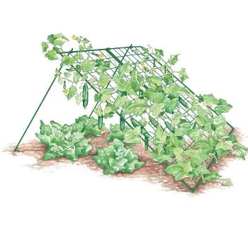 Large Cucumber Trellis, 48" W x 48" H with 4" Grids for Easy Harvesting and Plant Support, A Frame, Folds Flat for Storage