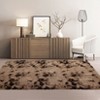 Fluffy Shaggy Rug: Tie-Dyed Furry Non-Shedding Plush Rug – Fuzzy Accent Carpet for Living Room, Bedroom | Soft Feet-Friendly Home Decor Floor Cover - 2 of 4