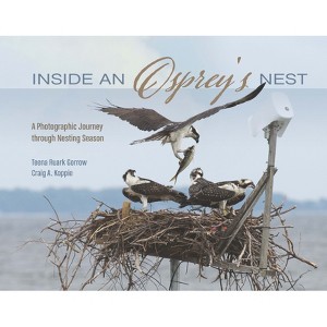 Inside an Osprey's Nest - by  Teena Ruark Gorrow & Craig Koppie (Hardcover) - 1 of 1