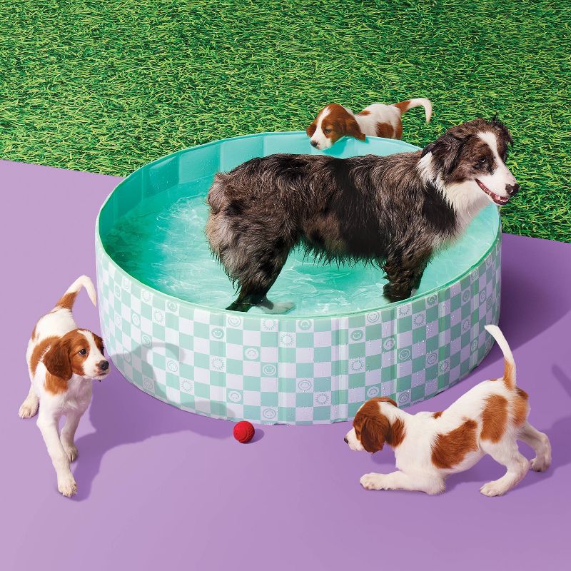 12&#34; x 40&#34; Round Inflatable Dog Pool - Sun Squad&#8482;, 3 of 5