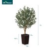 DR.Planzen 72" Artificial Olive Tree with Real Wood Branches - 6FT UV Resistant Indoor/Outdoor Fake Plant in 15.7" Planter (B/W/Coffee) - 3 of 4