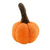 Ganz 3.0 Inch Mini Wool Pumpkins Thanksgiving Autumn Colors Plush Figurines - 2 of 3