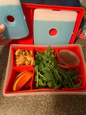 Fit and Fresh Multi-Flex Bento Lunch Box with 2 Ice Packs Meal