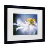 Trademark Fine Art - Mandy Disher Anemone 1 Matted Framed Art - image 3 of 4