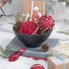 Whisen 6.5x6.5" Red Berry Ball Ornament, Decorative Hanging Ball Christmas Tree Ornaments, Set of 3 - Red - 4 of 4