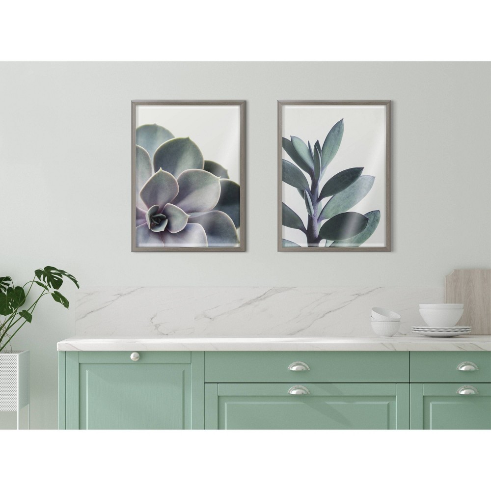 Photos - Other Decoration 18" x 24" Blake Succulent 5 by Emiko and Mark Franzen of F2 Images Framed Printed Glass Gray - Kate & Laurel All Things Deco