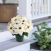 Puleo 19" Pre-Lit Battery-Operated Artificial Potted White Poinsettias - 3 of 4