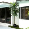 Nearly Natural 10-ft UV Resistant Artificial Double Robellini Palm Tree (Indoor/Outdoor) - 4 of 4