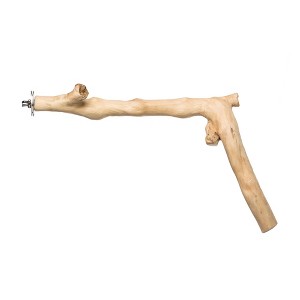 Prevue Pet Products 9" Y-Branch Coffea Wood Bird Perch - 1 of 4