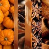 Glade 3-Wick Large Candle - Golden Pumpkin & Spice - 6.8oz - 2 of 4