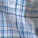 light blue plaid