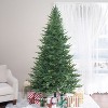Home Imports Emporium Lujan Prelit Artificial Christmas Tree, Realistic Nordic Christmas Tree with Lights, Green - 2 of 4