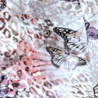 grey flutter animal
