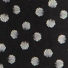 Black Seashell Print