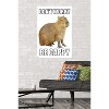 Trends International Capybara - Be Cappy Unframed Wall Poster Prints - 2 of 4