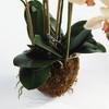 Plum & Post Phalaenopsis Orchid Artificial Plant Drop-In - 2 of 4