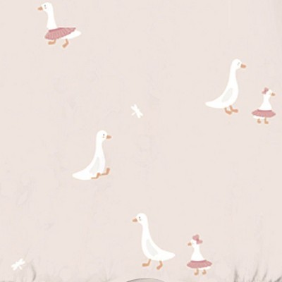 tutu goose