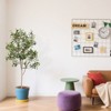 poetree 5 FT Tall Olive Trees Artificial Indoor, Olive Tree Plants, Faux Olive Tree with Realistic Trunk, Leaves, Fruits,flower pot for Home Decor - 4 of 4